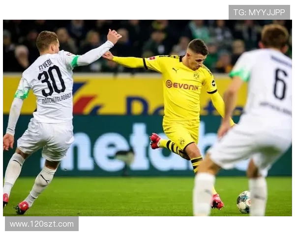 德甲球队“大黄蜂”指的是哪支？背景与绰号来由